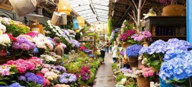 Mercado de flores y pájaros en París
