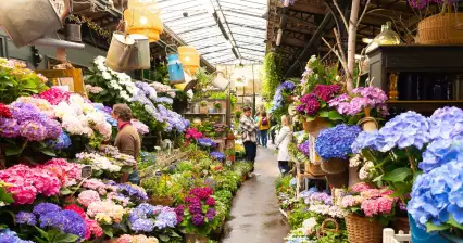 Blumen- und Vogelmarkt in Paris