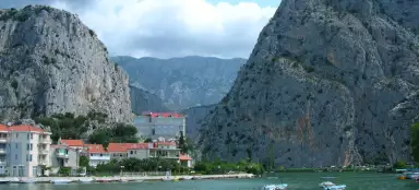 Omis