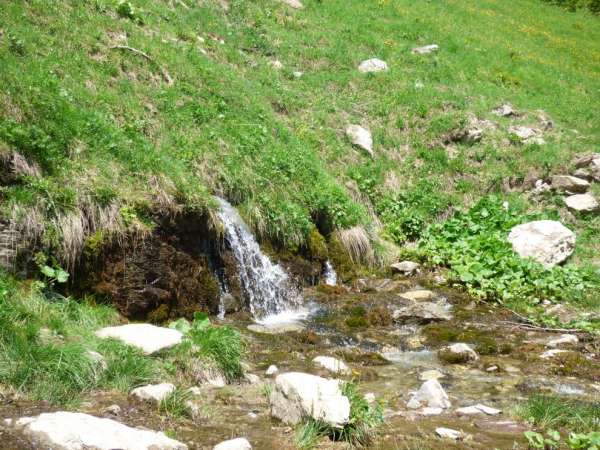 Fuentes de Moisés