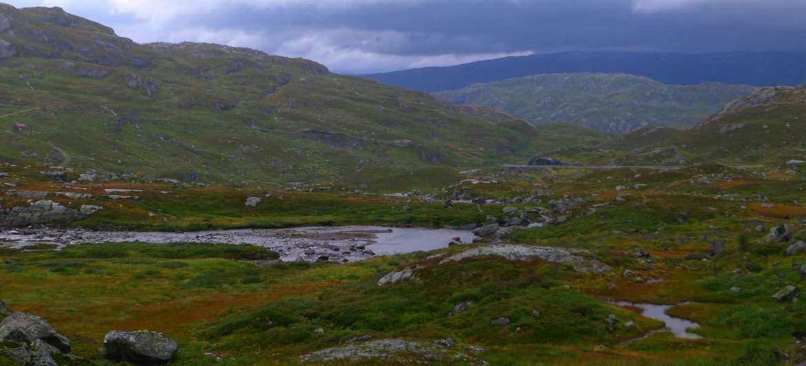 Články Národní park Hardangervidda