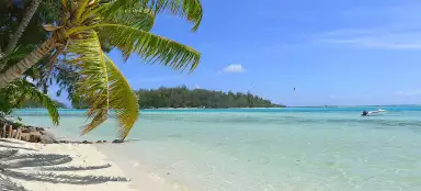 莫雷阿岛