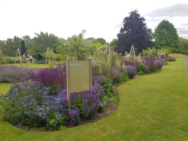 Botanická zahrada v Cambridge