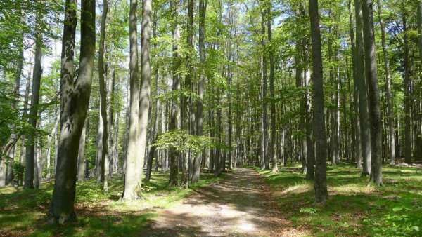 Naturschutzgebiet Kleť