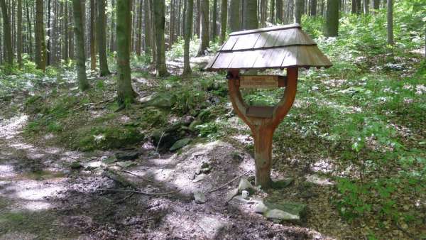 The source of the Chlumský stream