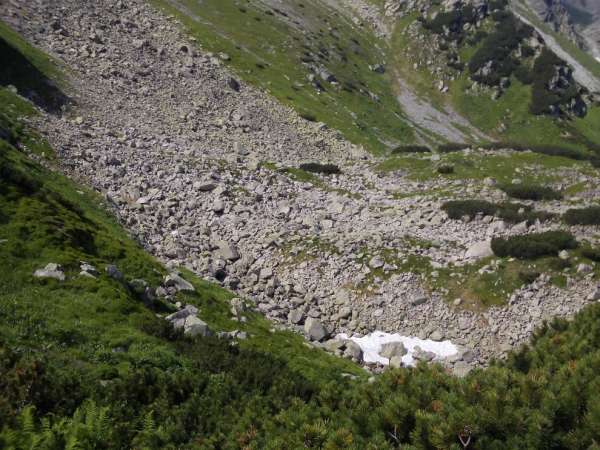 Pericolo quando si trascorre la notte in natura