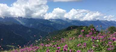 Carnet de voyage Montagnes vertes dans le Caucase
