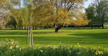 London parks