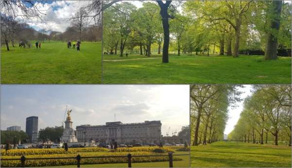 Green park