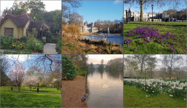 St. James's Park