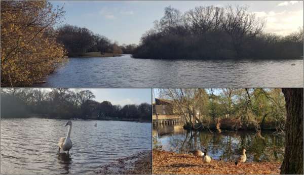 Epping forest park