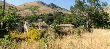 Perithia vieja