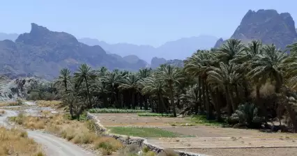 Wadi Bani AWF