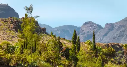 Grande Canarie - Soria