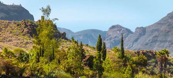 Gran Canaria – Soria: Počasí a sezóna