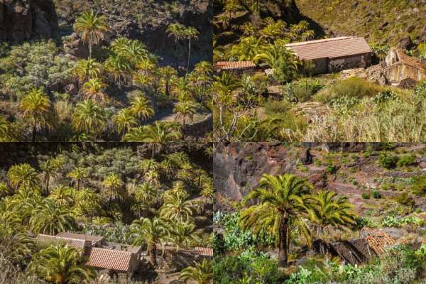 Barranco de Arguineguin