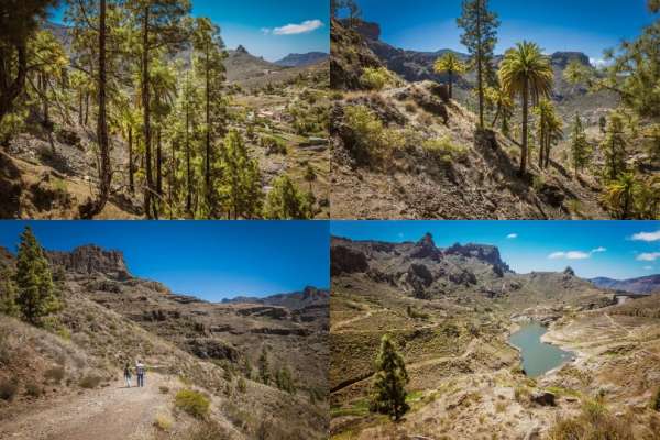 Presa de Sória