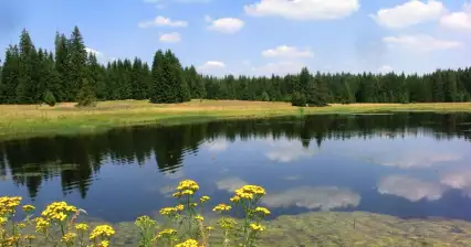 Český les