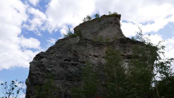 View from below