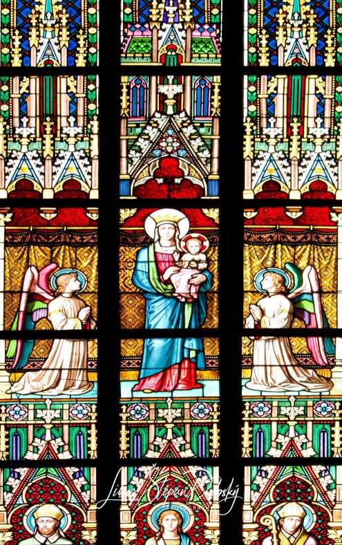 Derrière les vitraux de la cathédrale Saint-Guy