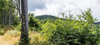 Skalka - Trois croix et retour