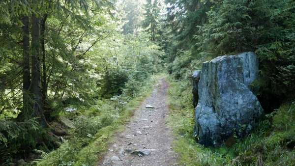 Forest footpath through Klínovy dol