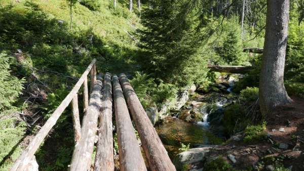 Crossroads by the wooden bridge