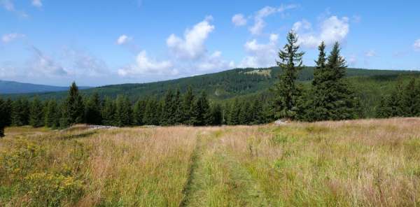 Ascent to Fries huts