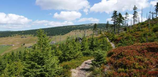 Le chemin de Friesova boudy - carrefour à Klínových bud