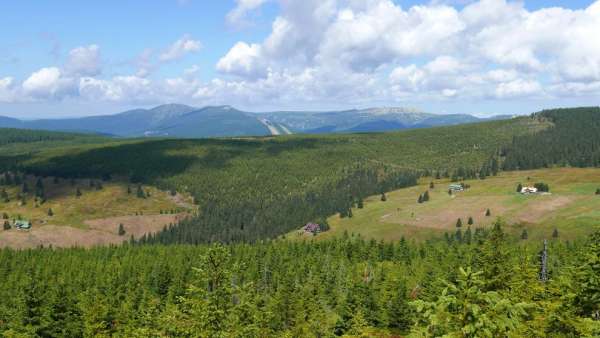 Замечательные виды