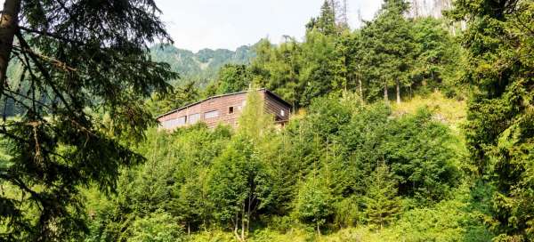 Domek Plesnivec: Pogoda i pora roku