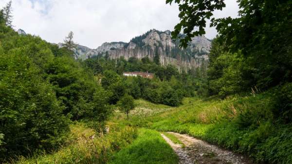 Hütte Plesnivec