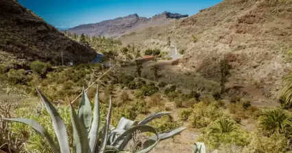 Gran canaria