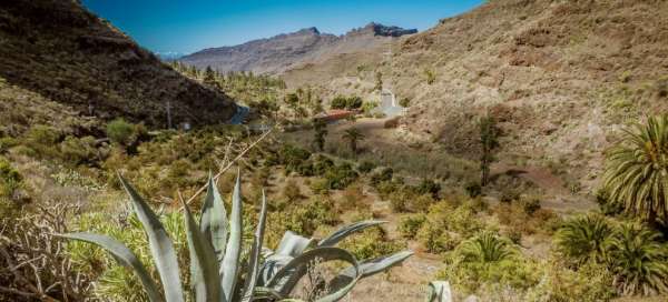 Gran Canaria: Ubytovanie