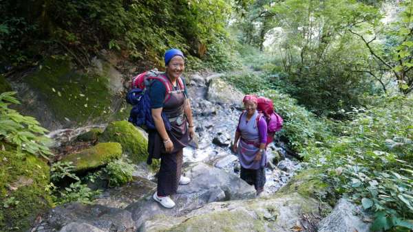 Camino de la selva