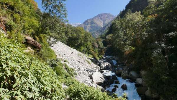 Massive landslide