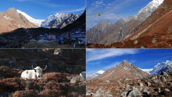 下降到 Langtang Khole