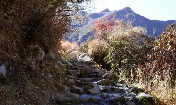 Escalier de sortie