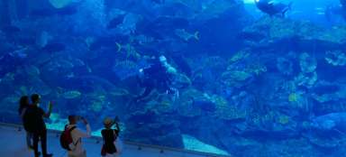 Acuario y zoológico submarino de Dubái