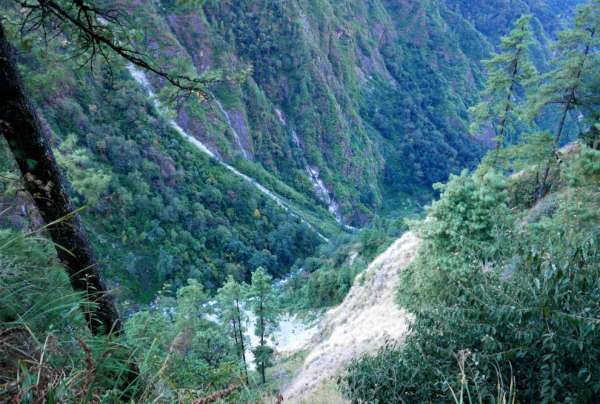 Una vista nelle profondità del canyon