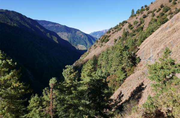 Camino escénico sobre el cañón