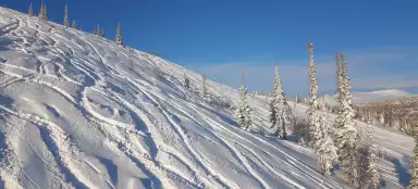 На Рождество в Сибири