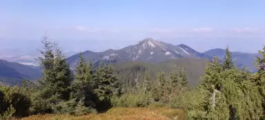 Montée à Sina, Bor et Zákľuky