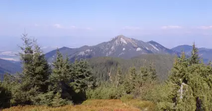 Montée à Sina, Bor et Zákľuky