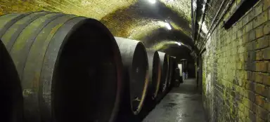 A mais bela viagem do vinho