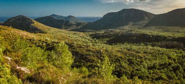 Hike to Torre d´Albarca