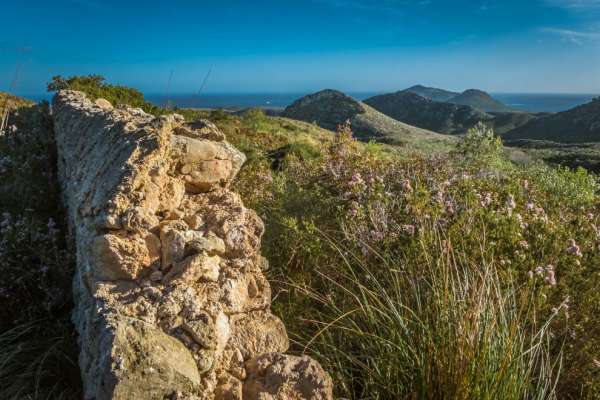 Coastal mountains