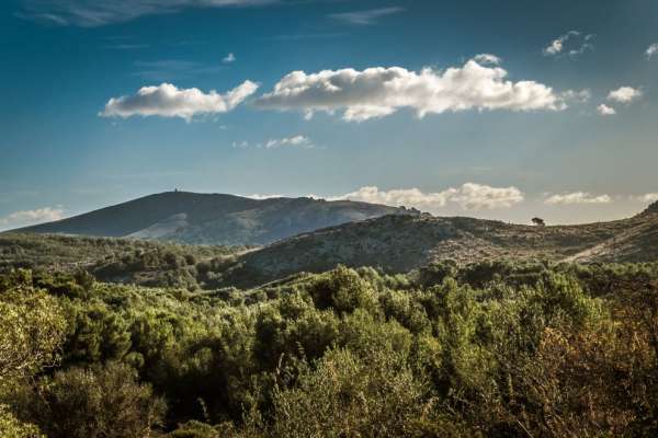 Talaia de Morei