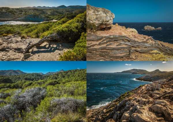 Paesaggio sotto la torre di avvistamento