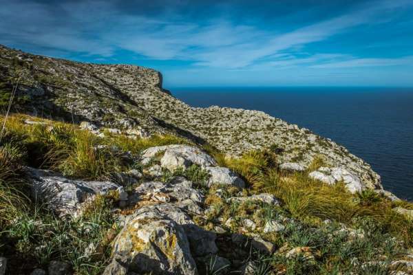 Above the cliffs